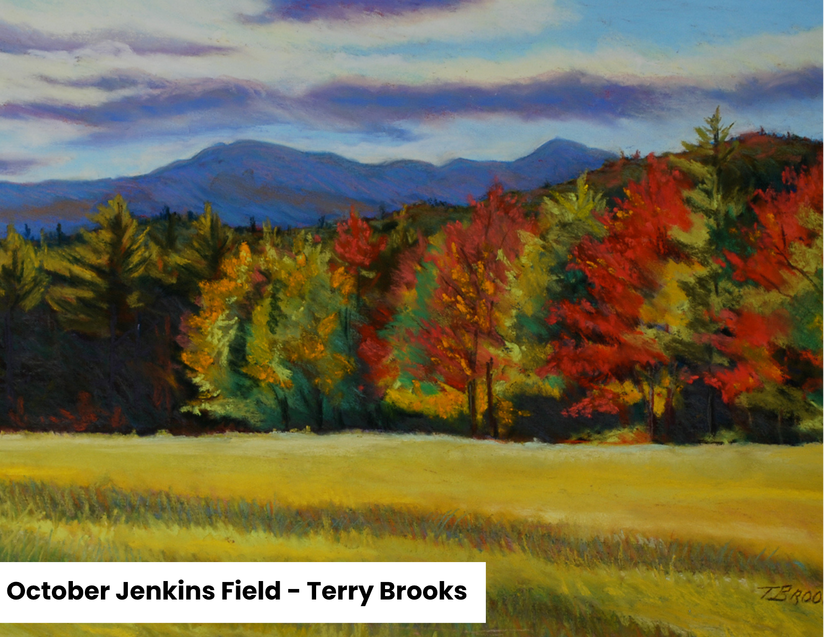 October Jenkins Field